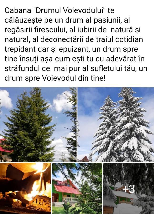 Cabana Drumul Voievodului Vulcan  Extérieur photo